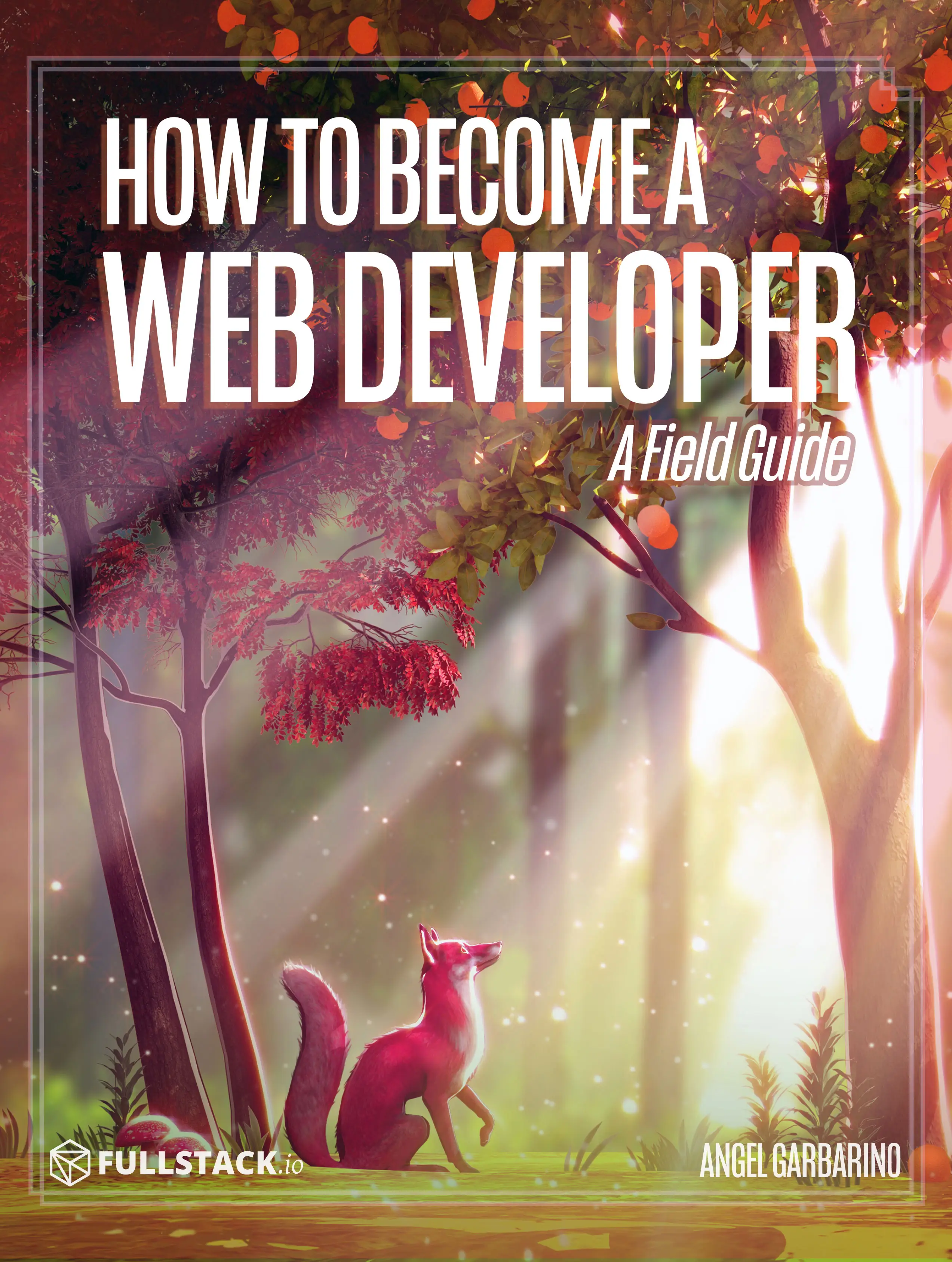 How to Become a Web Developer: A Field Guide
